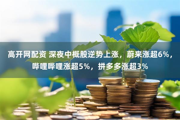 高开网配资 深夜中概股逆势上涨，蔚来涨超6%，哔哩哔哩涨超5%，拼多多涨超3%